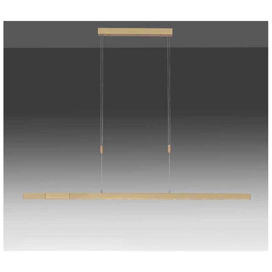 Paul Neuhaus 2568-60 - Candeeiro LED com regulação da luz num fio ADRIANA LED/14W/230V latão