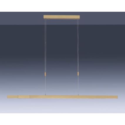 Paul Neuhaus 2568-60 - Candeeiro LED com regulação da luz num fio ADRIANA LED/14W/230V latão