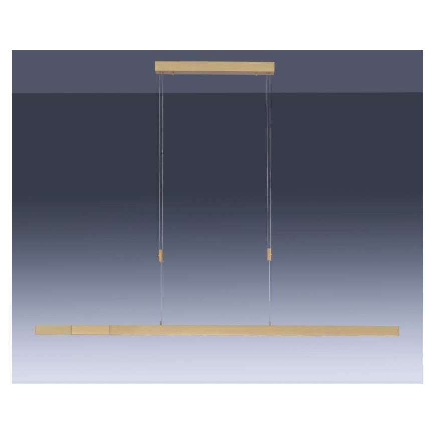 Paul Neuhaus 2568-60 - Candeeiro LED com regulação da luz num fio ADRIANA LED/14W/230V latão