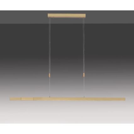 Paul Neuhaus 2568-60 - Candeeiro LED com regulação da luz num fio ADRIANA LED/14W/230V latão