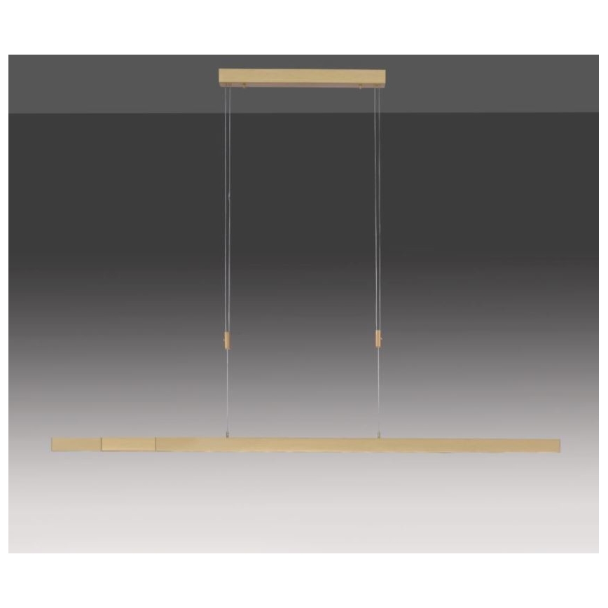 Paul Neuhaus 2568-60 - Candeeiro LED com regulação da luz num fio ADRIANA LED/14W/230V latão