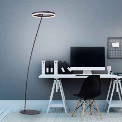 Paul Neuhaus 381-13 - Candeeiro de chão LED com regulação TITUS LED/19,5W/230V