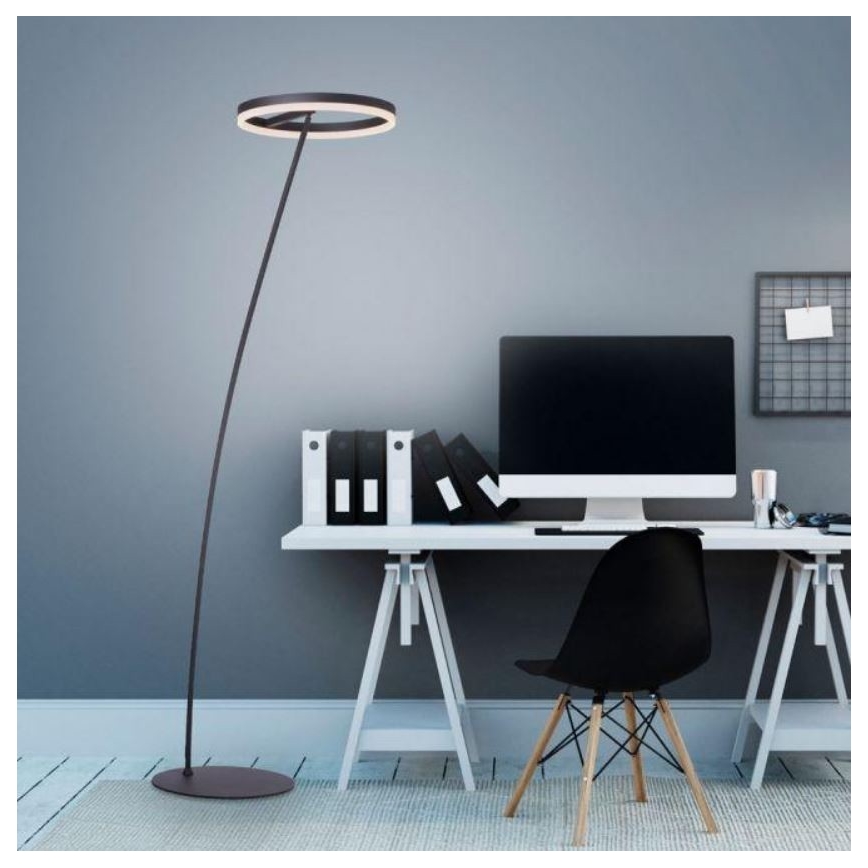 Paul Neuhaus 381-13 - Candeeiro de chão LED com regulação TITUS LED/19,5W/230V