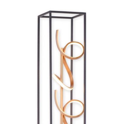 Paul Neuhaus 415-18 - Candeeiro de chão fosco LED SELINA 3xLED/10,2W/230V