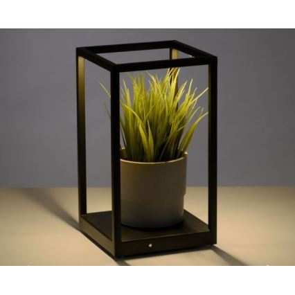 Paul Neuhaus 4401-18 - Candeeiro de mesa LED com regulação CONTURA 2xLED/2,2W/230V