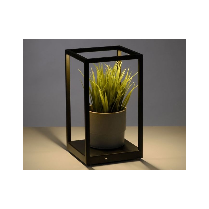 Paul Neuhaus 4401-18 - Candeeiro de mesa LED com regulação CONTURA 2xLED/2,2W/230V