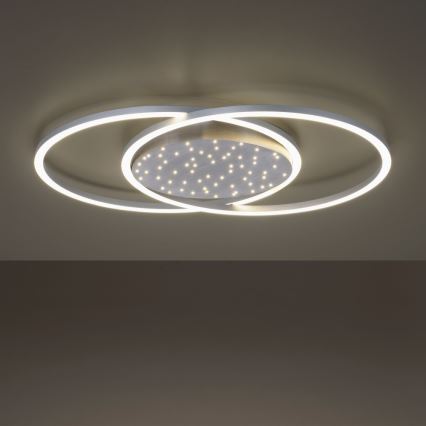 Paul Neuhaus 6025-55 - Iluminação de teto LED com regulação YUKI LED/48W/230V + controlo remoto