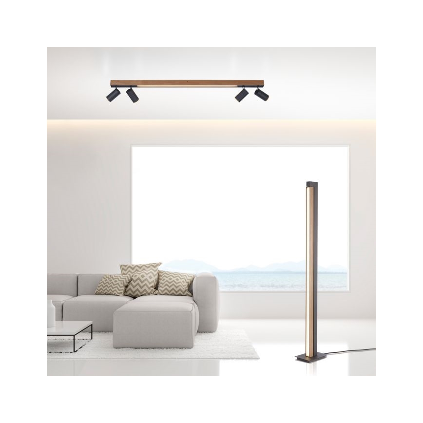 Paul Neuhaus 6121-79 - Foco LED com regulação PURE 4xLED/4W/230V + LED/9W 2700-5000K + comando