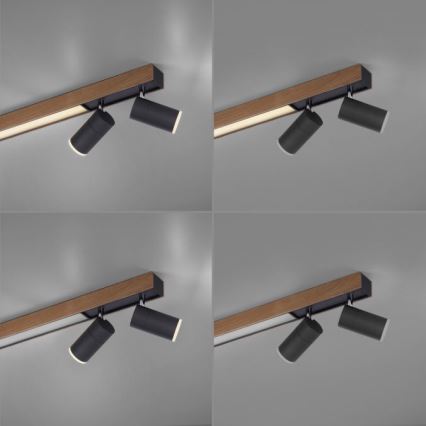 Paul Neuhaus 6121-79 - Foco LED com regulação PURE 4xLED/4W/230V + LED/9W 2700-5000K + comando