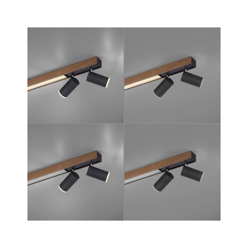 Paul Neuhaus 6121-79 - Foco LED com regulação PURE 4xLED/4W/230V + LED/9W 2700-5000K + comando