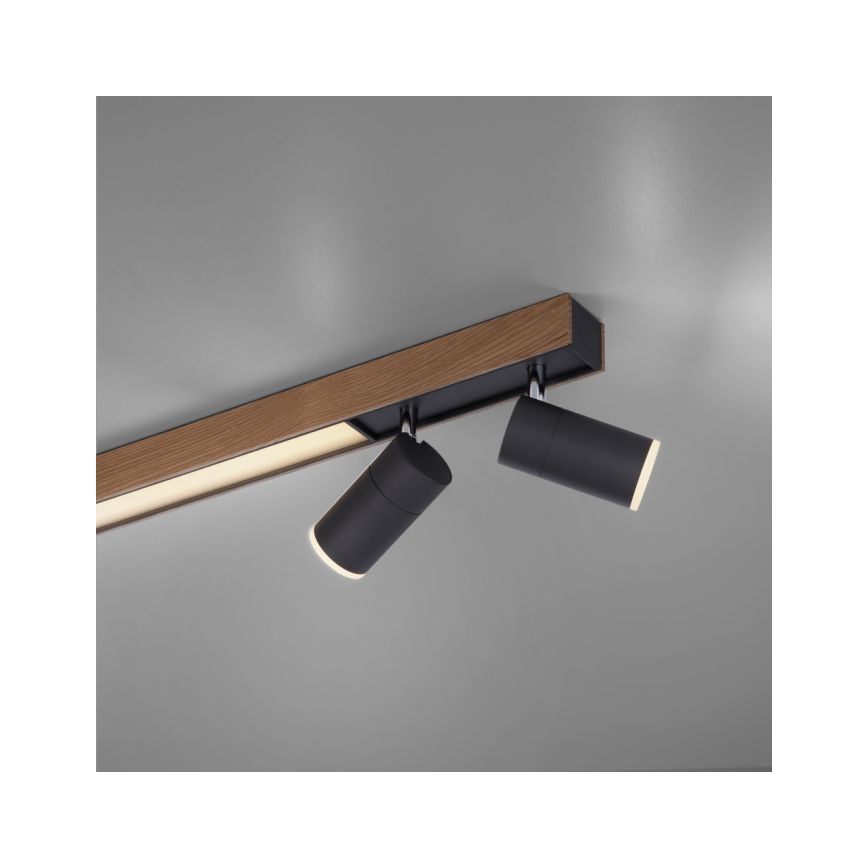 Paul Neuhaus 6121-79 - Foco LED com regulação PURE 4xLED/4W/230V + LED/9W 2700-5000K + comando