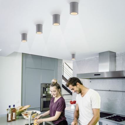 Paul Neuhaus 6160-22 - Foco ETON 1xGU10/10W/230V betão