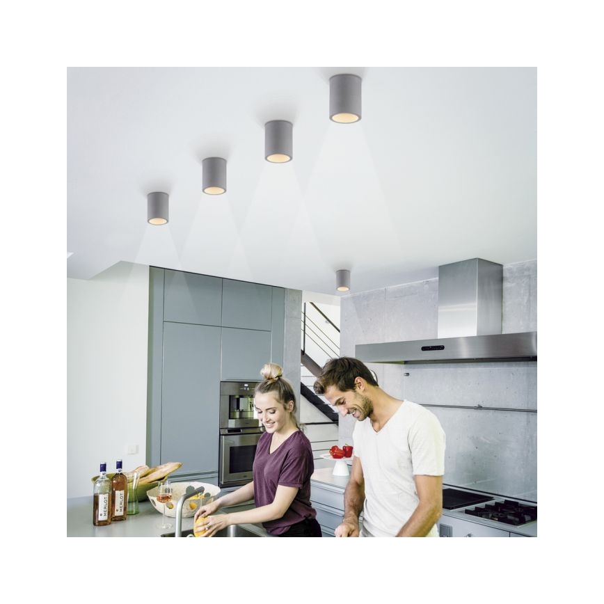 Paul Neuhaus 6160-22 - Foco ETON 1xGU10/10W/230V betão