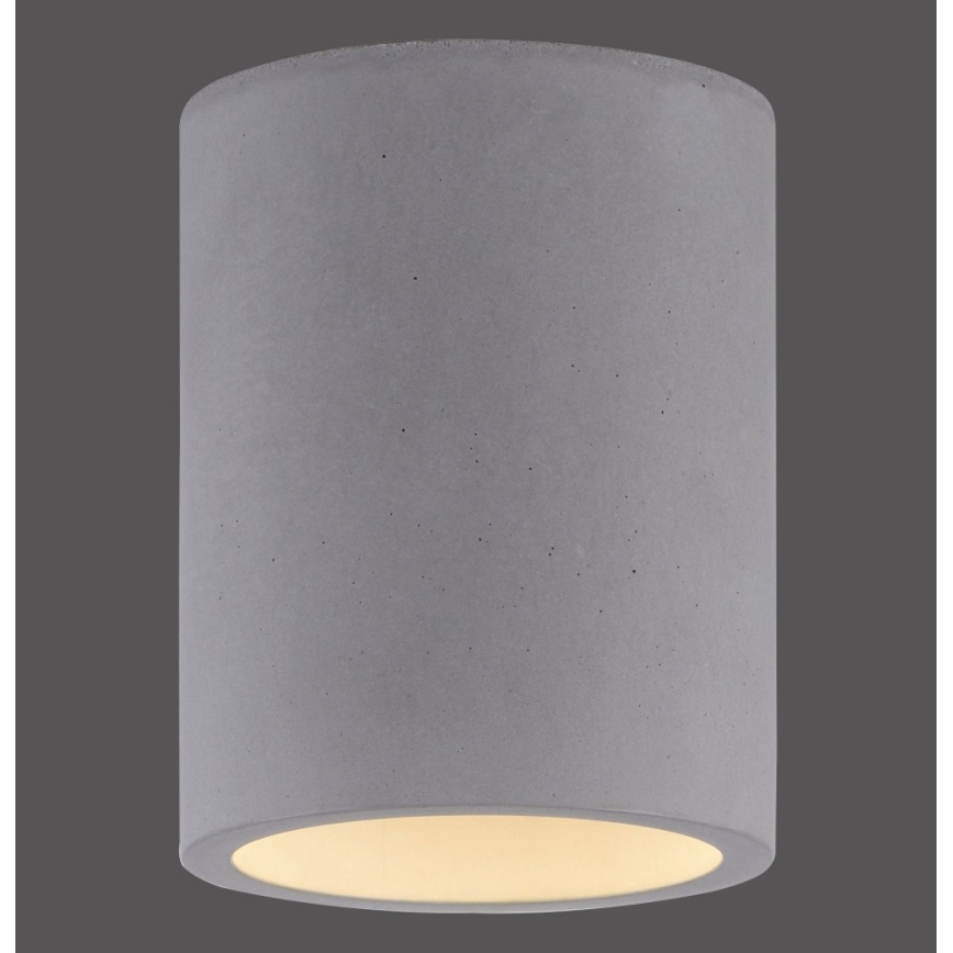 Paul Neuhaus 6160-22 - Foco ETON 1xGU10/10W/230V betão