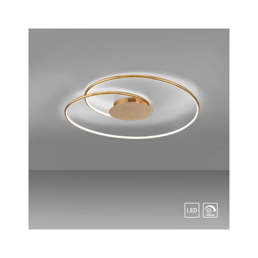 Paul Neuhaus 6189-12 - Iluminação de teto LED com regulação NASTRO LED/26W/230V