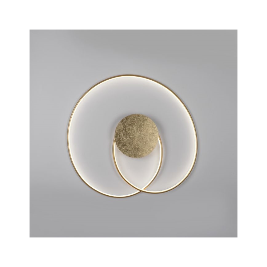 Paul Neuhaus 6189-12 - Iluminação de teto LED com regulação NASTRO LED/26W/230V