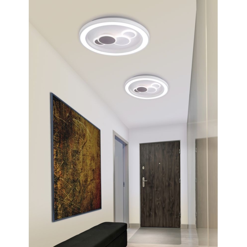 Paul Neuhaus 6284-16 - Plafon LED ELIZA LED/55,5W/230V diâmetro 60 cm