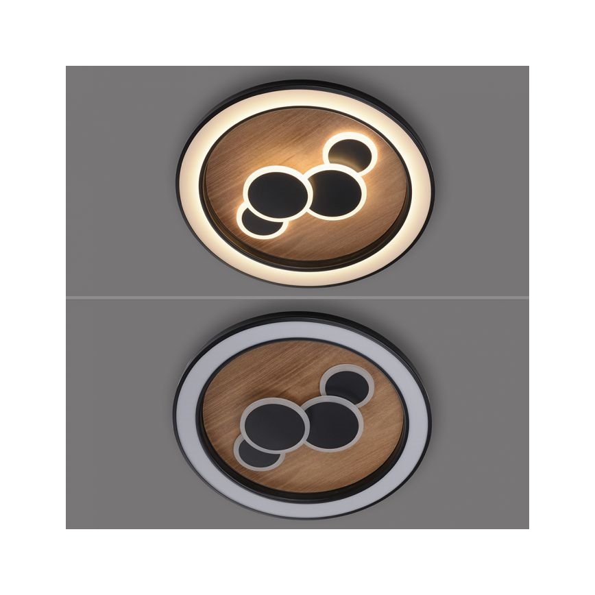 Paul Neuhaus 6284-79 - Iluminação de teto LED ELIZA LED/55,5W/230V diâmetro 60 cm carvalho