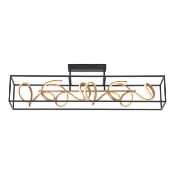 Paul Neuhaus 6473-18 - Candelabro suspenso LED com regulação SELINA 4xLED/10,2W/230V