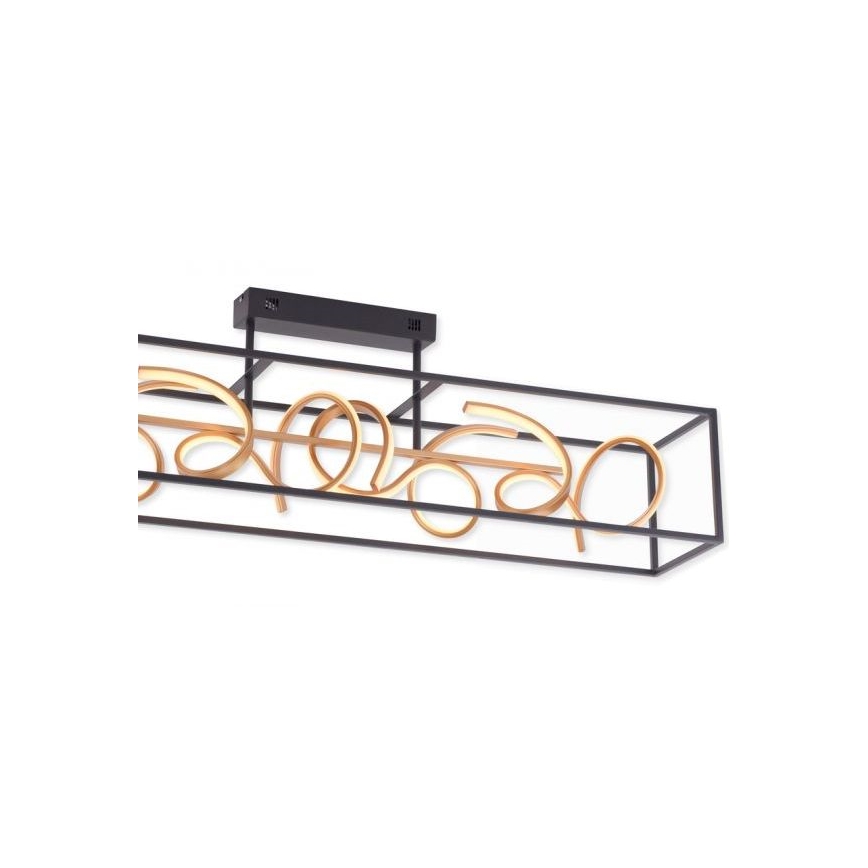 Paul Neuhaus 6473-18 - Candelabro suspenso LED com regulação SELINA 4xLED/10,2W/230V