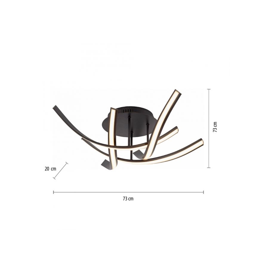 Paul Neuhaus 6474-48 - Candelabro integrado LED com regulação LINDA 4xLED/7W/230V
