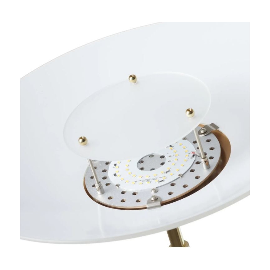 Paul Neuhaus - 655-60 - Candeeiro de chão LED com regulação ALFRED 1xLED/28W/230V+1xLED/4W/230V latão