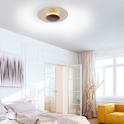 Paul Neuhaus 6551-48 - Iluminação de teto LED com regulação NEVIS LED/18W/230V