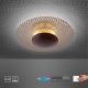 Paul Neuhaus 6551-48 - Iluminação de teto LED com regulação NEVIS LED/18W/230V