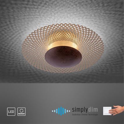 Paul Neuhaus 6551-48 - Iluminação de teto LED com regulação NEVIS LED/18W/230V