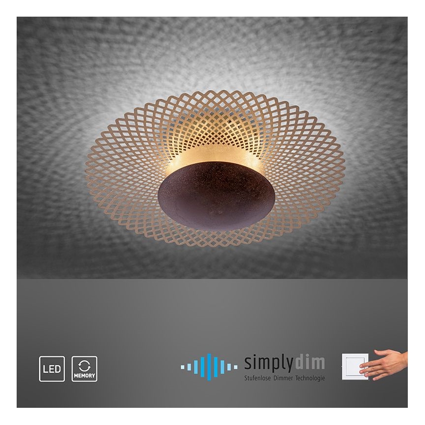 Paul Neuhaus 6551-48 - Iluminação de teto LED com regulação NEVIS LED/18W/230V