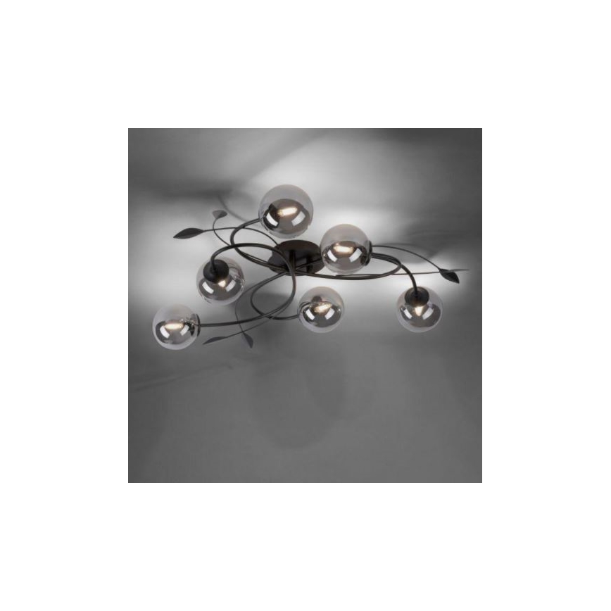 Paul Neuhaus 6737-18 - Candelabro montado à superfície LED WIDOW 6xG9/3W/230V