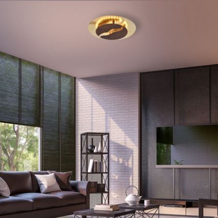 Paul Neuhaus 6982-48 -Iluminação de teto LED com regulação NEVIS LED/26W/230V