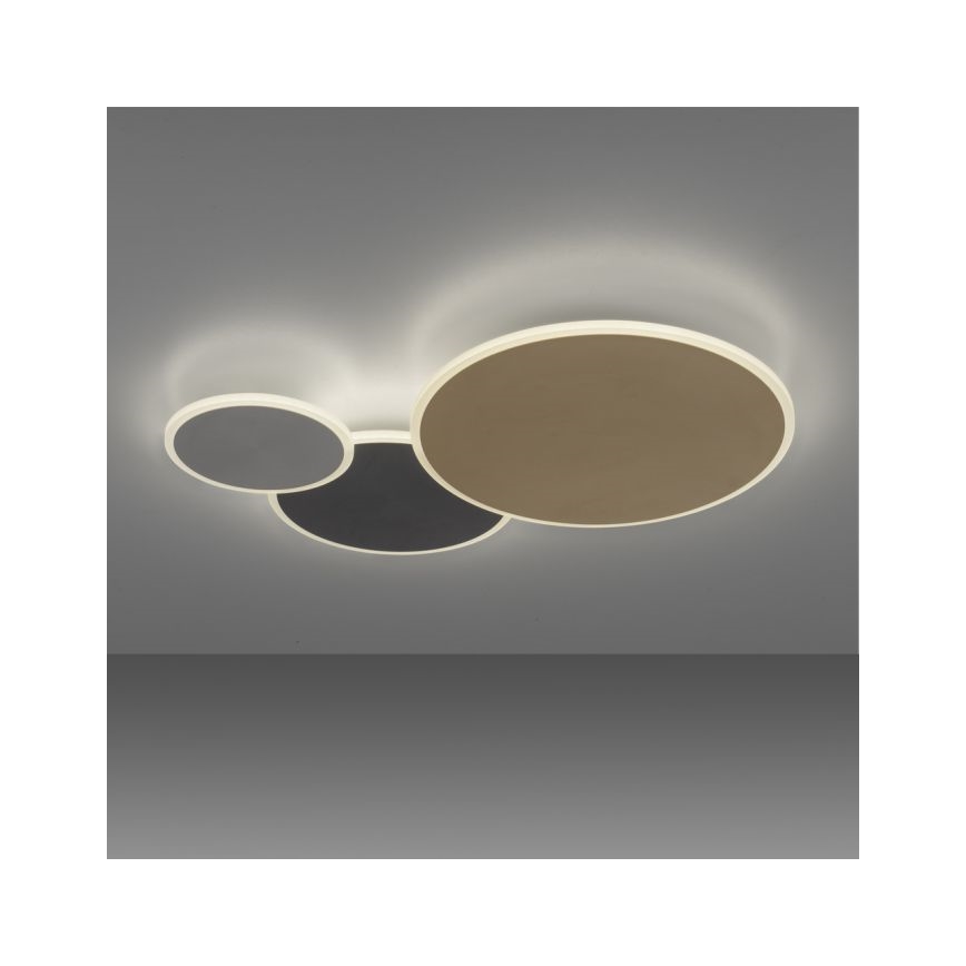 Paul Neuhaus 8007-70 - Luminária de teto LED regulável Q-PIATO LED/35W/230V 2700-5000K Wi-Fi + controlo remoto