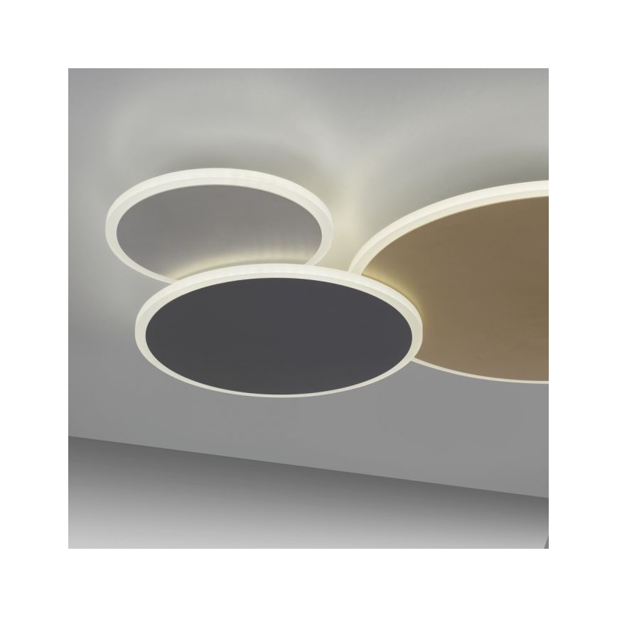 Paul Neuhaus 8007-70 - Luminária de teto LED regulável Q-PIATO LED/35W/230V 2700-5000K Wi-Fi + controlo remoto