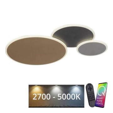 Paul Neuhaus 8007-70 - Luminária de teto LED regulável Q-PIATO LED/35W/230V 2700-5000K Wi-Fi + controlo remoto