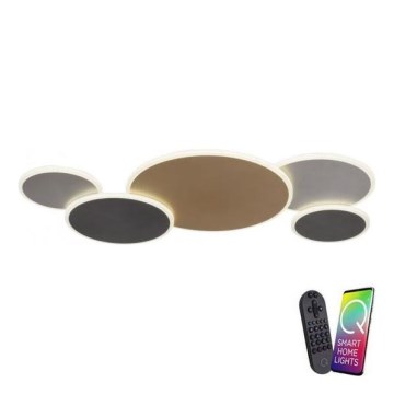 Paul Neuhaus 8008-70 - Iluminação de teto LED com regulação Q-PIATO LED/49W/230V 2700-5000K Wi-Fi + comando