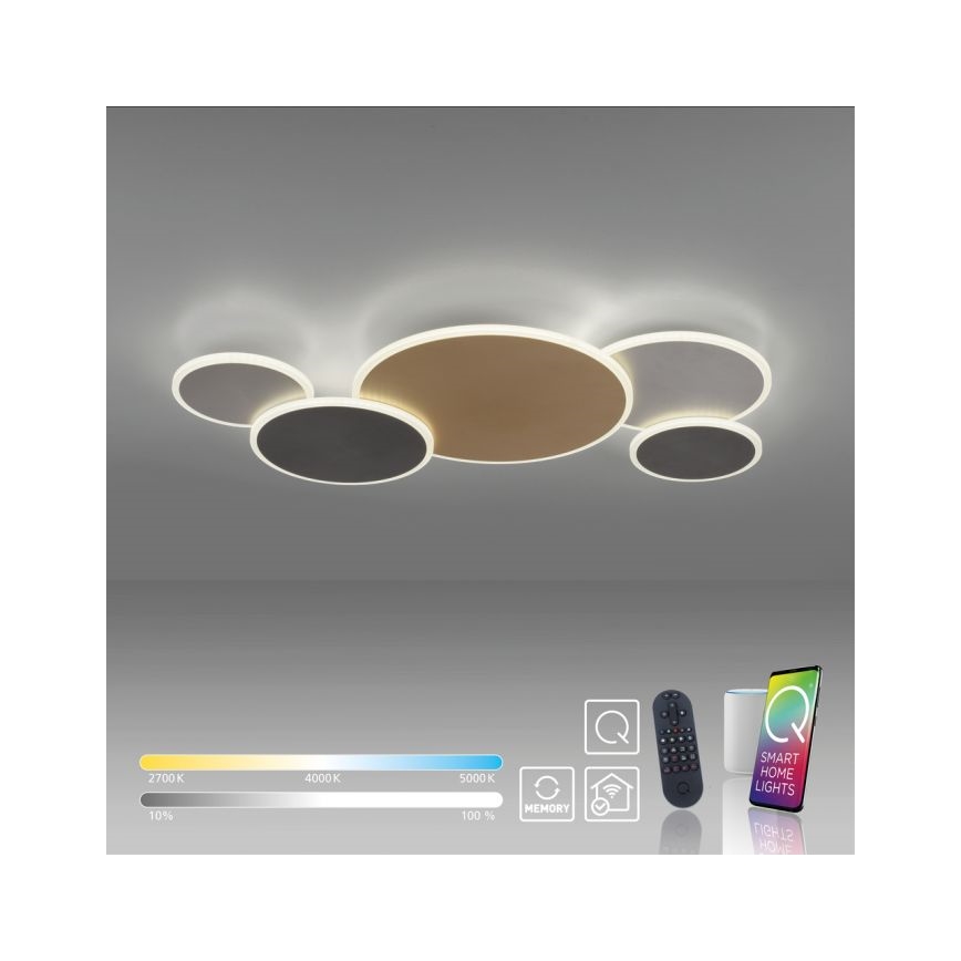 Paul Neuhaus 8008-70 - Iluminação de teto LED com regulação Q-PIATO LED/49W/230V 2700-5000K Wi-Fi + comando