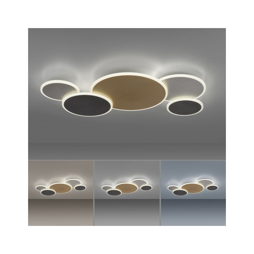 Paul Neuhaus 8008-70 - Iluminação de teto LED com regulação Q-PIATO LED/49W/230V 2700-5000K Wi-Fi + comando