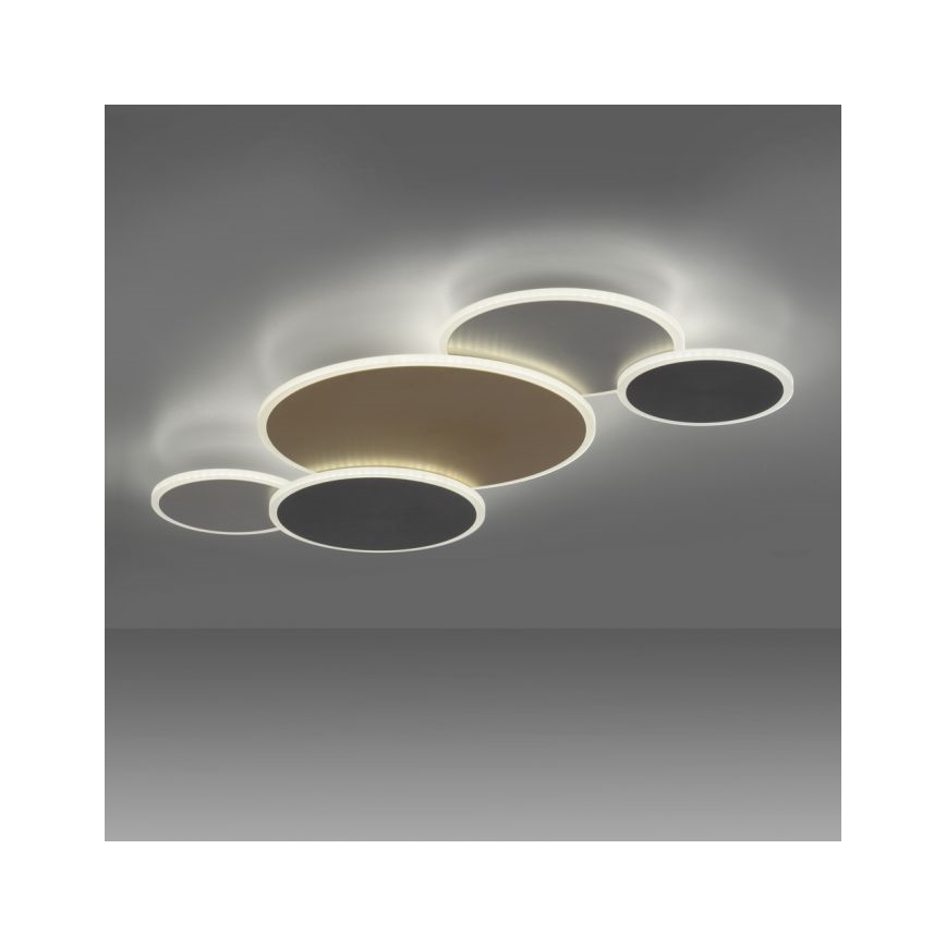 Paul Neuhaus 8008-70 - Iluminação de teto LED com regulação Q-PIATO LED/49W/230V 2700-5000K Wi-Fi + comando