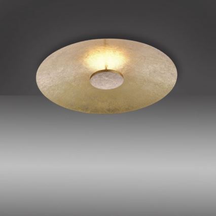 Paul Neuhaus 8132-12 - Iluminação de teto LED com regulação PLATE LED/25W/230V