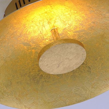 Paul Neuhaus 8132-12 - Iluminação de teto LED com regulação PLATE LED/25W/230V