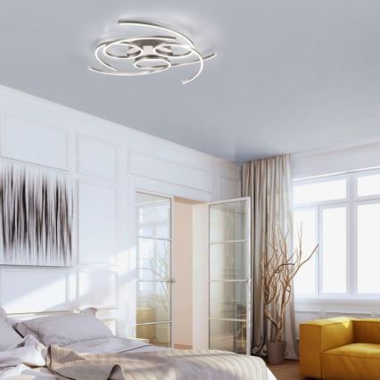 Paul Neuhaus 8165-55 - Luz de teto fosca LED DANILO 3xLED/12W/230V