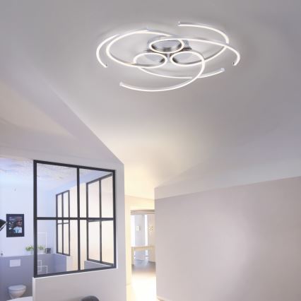 Paul Neuhaus 8165-55 - Luz de teto fosca LED DANILO 3xLED/12W/230V