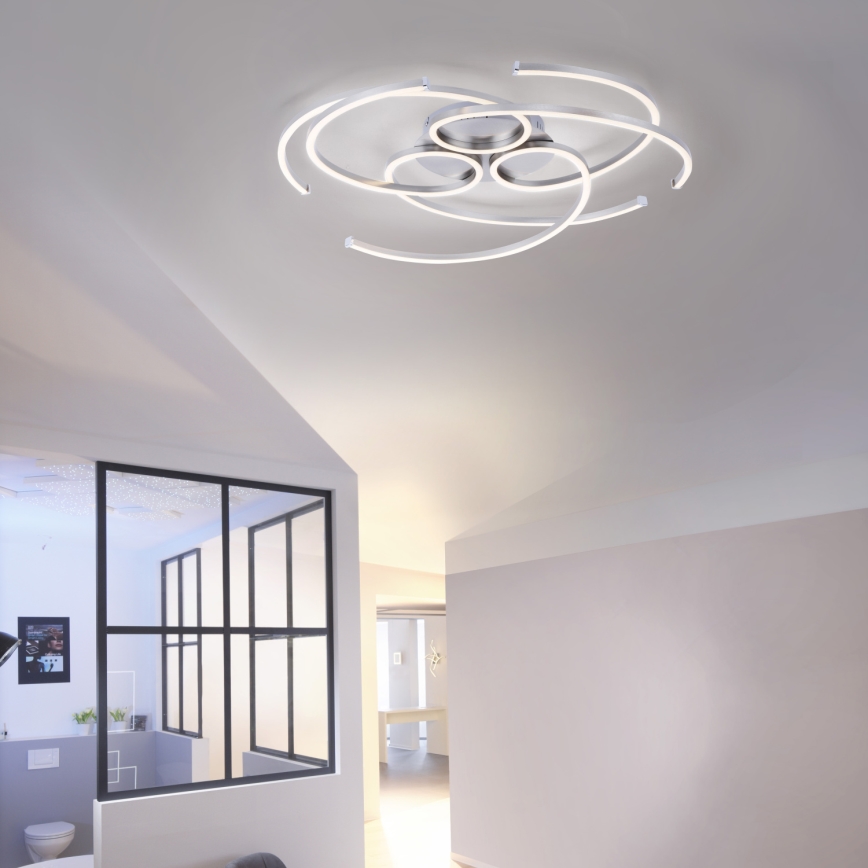 Paul Neuhaus 8165-55 - Luz de teto fosca LED DANILO 3xLED/12W/230V