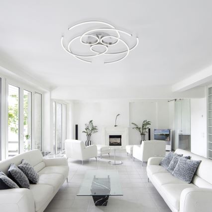 Paul Neuhaus 8165-55 - Luz de teto fosca LED DANILO 3xLED/12W/230V