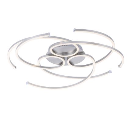 Paul Neuhaus 8165-55 - Luz de teto fosca LED DANILO 3xLED/12W/230V