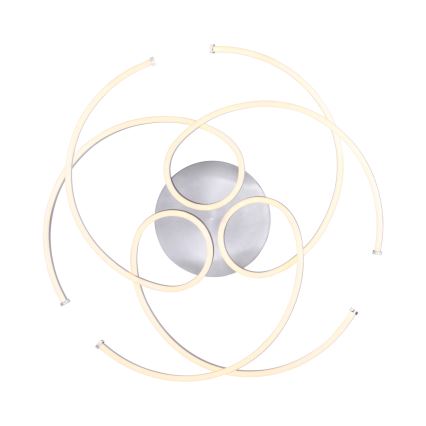 Paul Neuhaus 8165-55 - Luz de teto fosca LED DANILO 3xLED/12W/230V