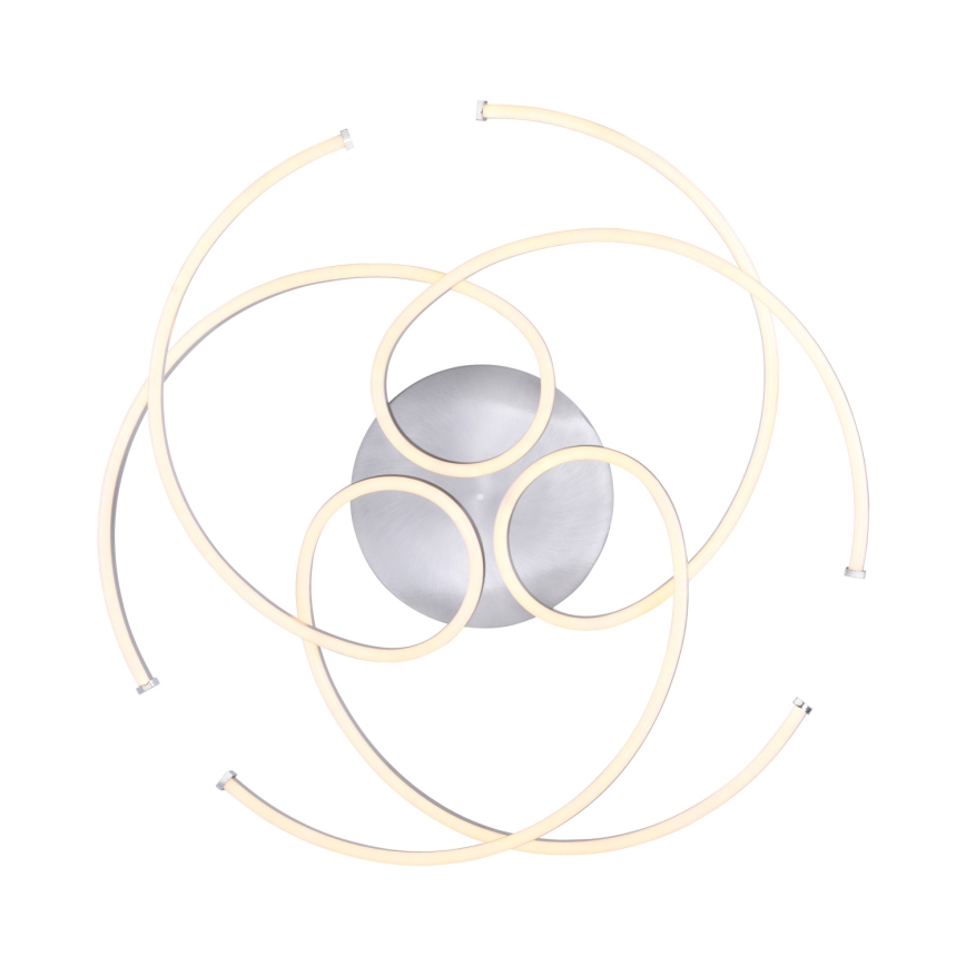 Paul Neuhaus 8165-55 - Luz de teto fosca LED DANILO 3xLED/12W/230V