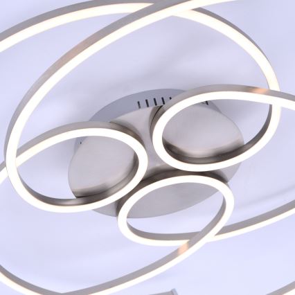 Paul Neuhaus 8165-55 - Luz de teto fosca LED DANILO 3xLED/12W/230V