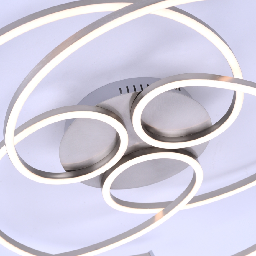 Paul Neuhaus 8165-55 - Luz de teto fosca LED DANILO 3xLED/12W/230V